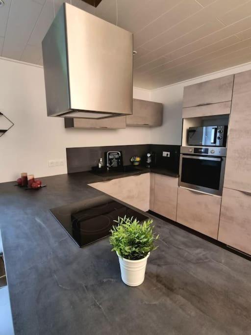 Appartement Chaleureux 80M2 Orbey Zewnętrze zdjęcie